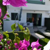 Bungalow mit 2 Schlafzimmer und schöner Terrasse mit Meerblick - 1