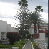 Holiday bungalow duplex with 2 bedrooms to stay the winter in Playa del Ingles