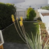 Duplex bungalow met 2 slaapkamers en 1 badkamer op 65 vm te huur in Playa del Ingles