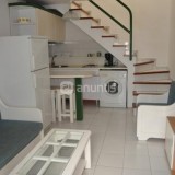Bungalow apartment with 1 bedroom - 1