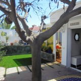 Detached bungalow in good location near the sea with 2 bedrooms, large terrace, winter garden and large roof terrace - 1