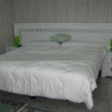 Apartment with 2 bedrooms on about 70 sq.m living area in south direction, on the ground floor - 1